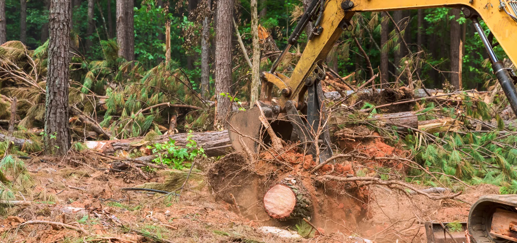 Land clearing in Dallas TX showing tree removal and site preparation with heavy equipment